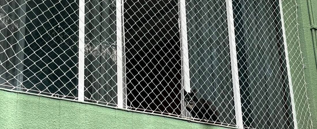 redes de proteção para pets